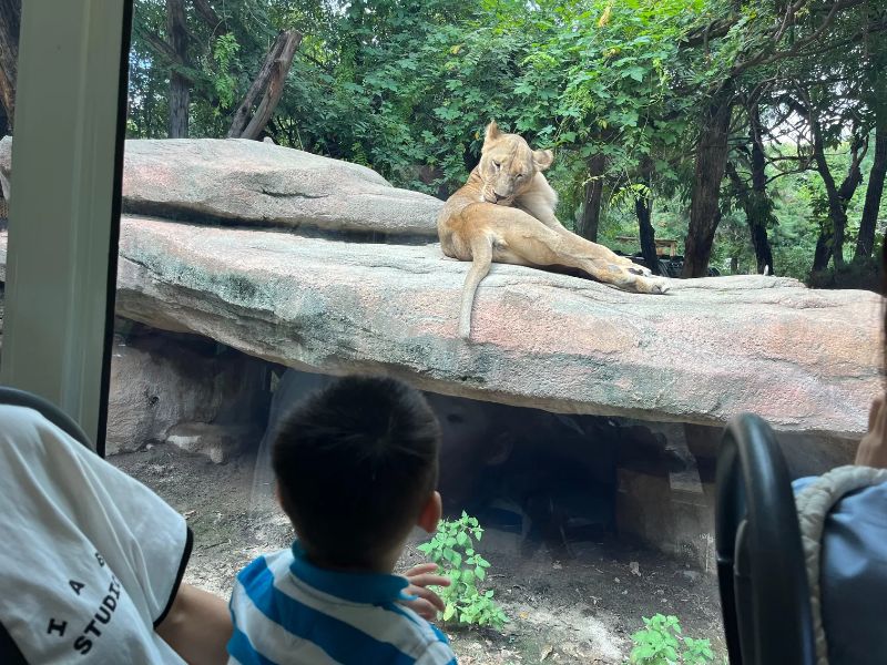 463ae085dd74b8b91aeb6a676f068b79_1762493291_8141.jpg 463ae085dd74b8b91aeb6a676f068b79_1762493291_8141.jpg